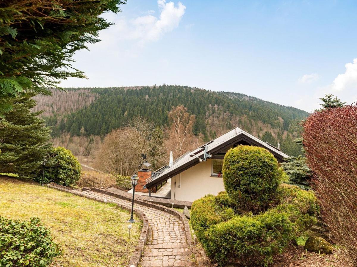 Unterschönau Majestic Holiday Home With Jacuzzi מראה חיצוני תמונה